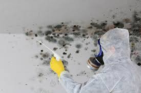 Best Mold Prevention Services in Woodsi East, DE